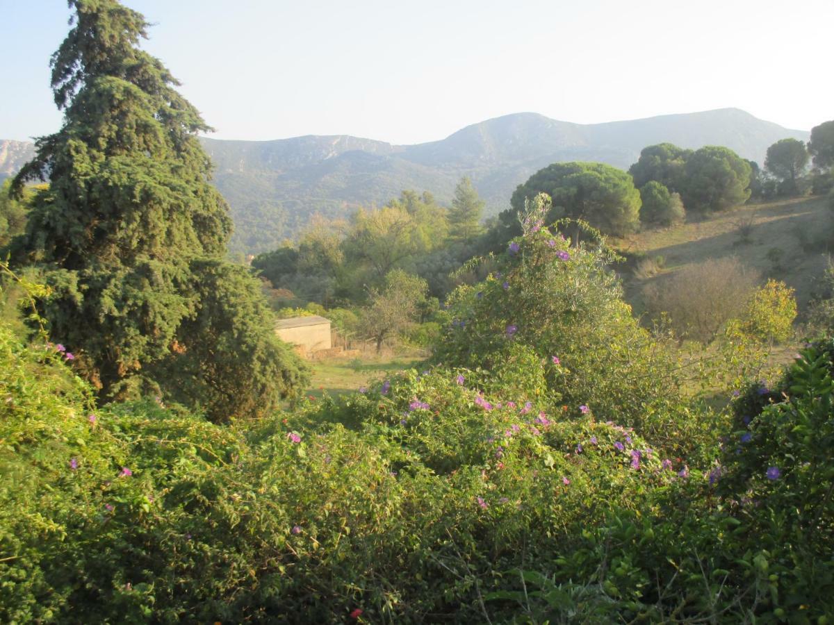Coin de paradis Quinta do Anjo Buitenkant foto